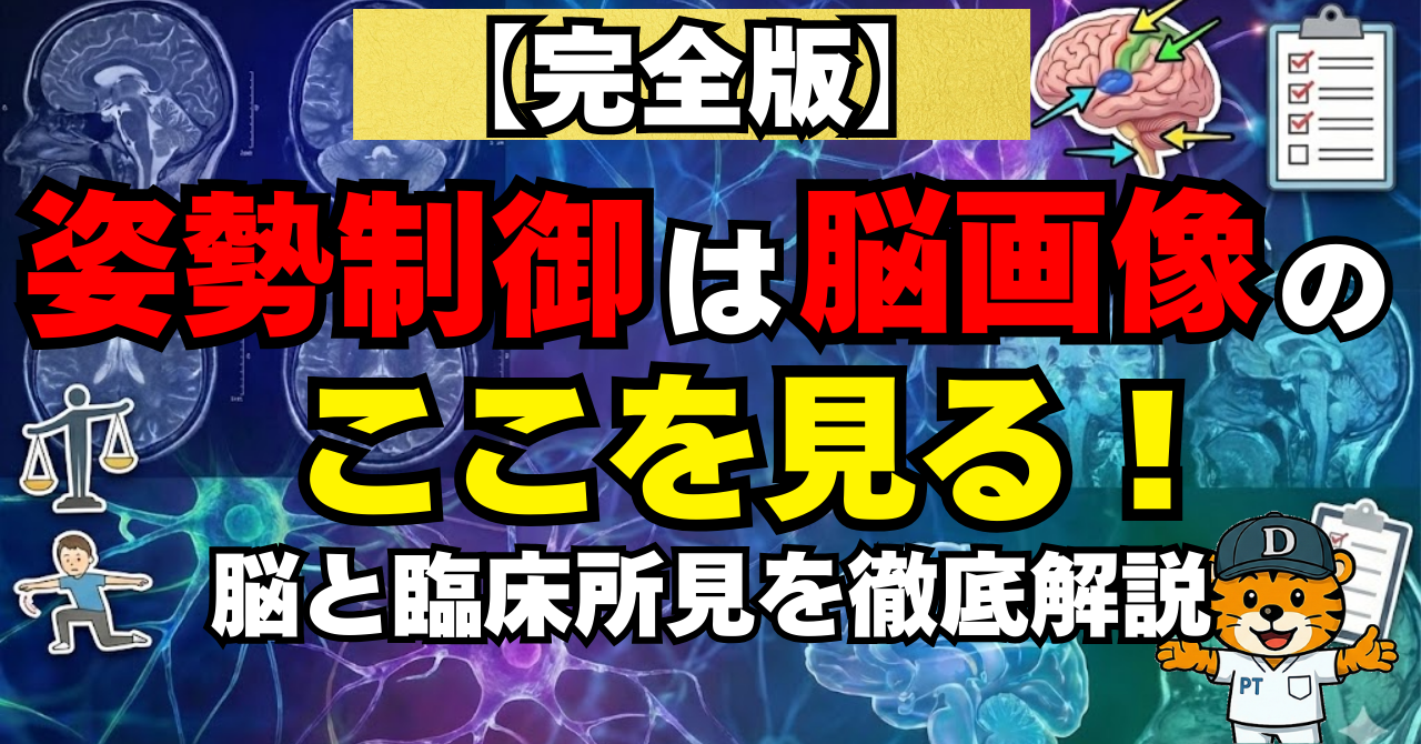 姿勢制御は脳画像のここを見る！完全版サムネイル